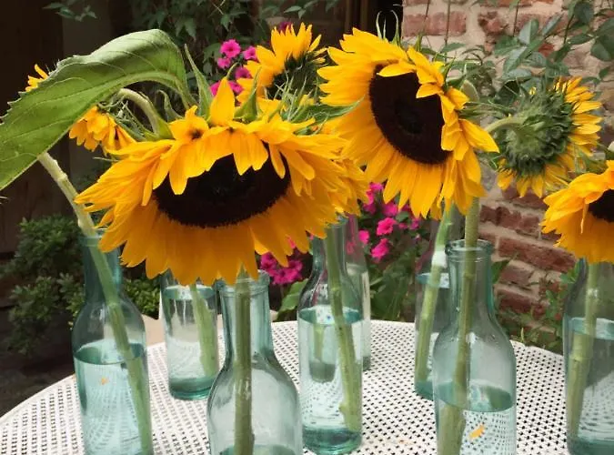 A L'ecole Buissonniere 4* הונפלר