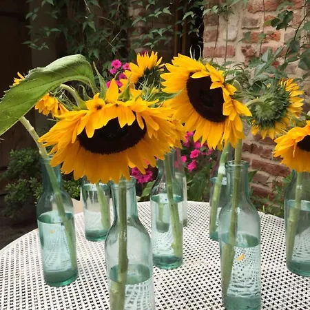 A L'ecole Buissonniere 4* Honfleur