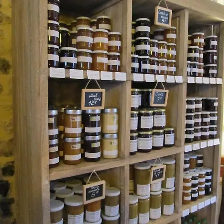 Oda ve Kahvaltı A L'ecole Buissonniere