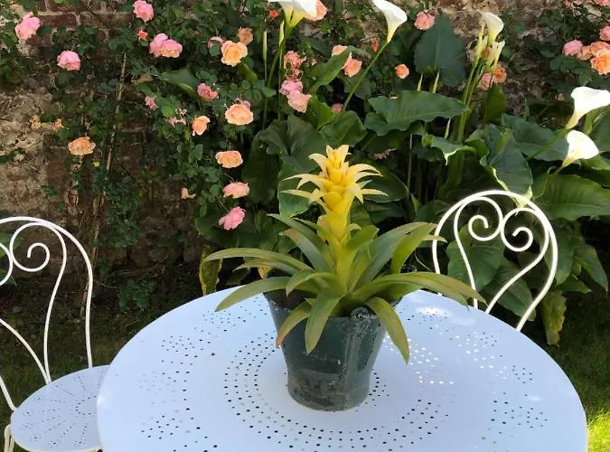 Bed & Breakfast A L'ecole Buissonniere 4*